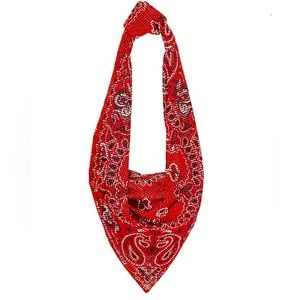 Alexander wang Scarf bag.